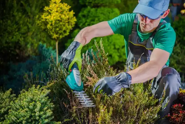 landscaping services Sherman